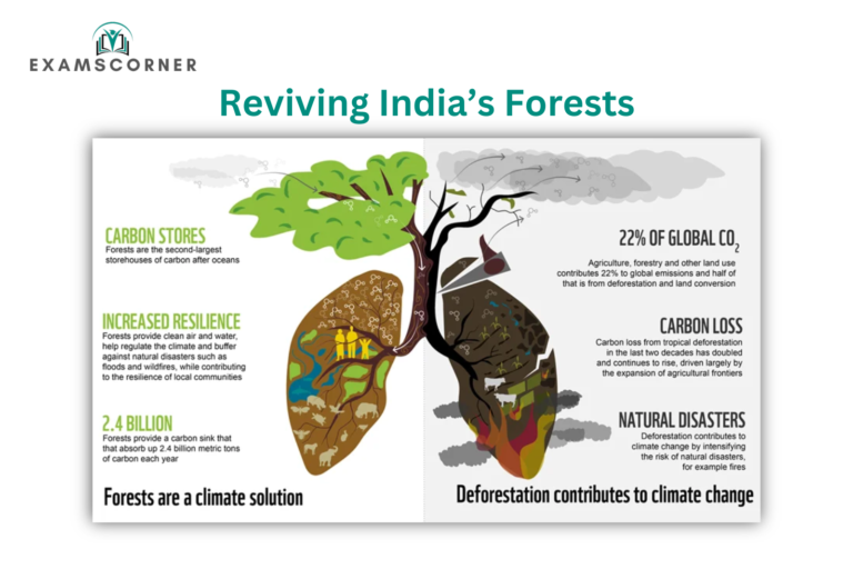 Reviving India’s Forests