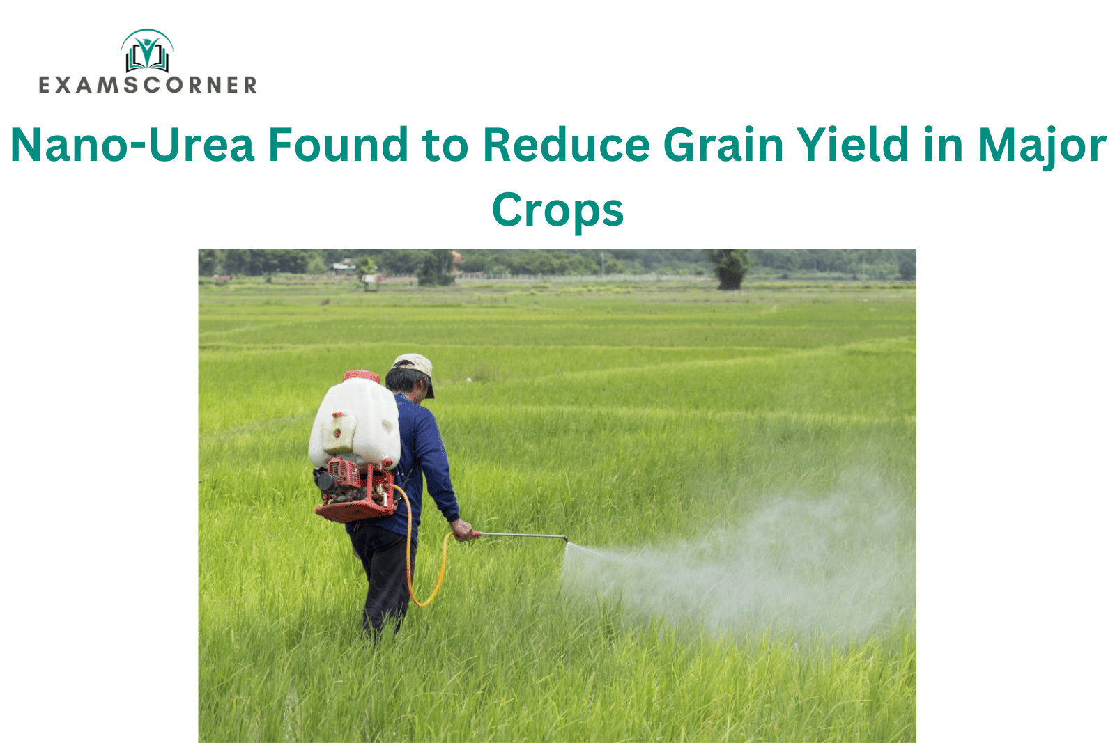 Nano-Urea Found to Reduce Grain Yield in Major Crops